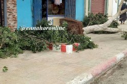 رياح قوية تضرب 5 ولايات تهدّم البيوت البلاستيكية وتقطع الطرقات