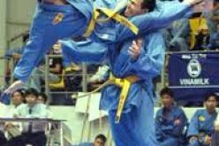 6 بلدان افريقية في موعد 13 الى 15 ديسمبر تحسبا لبطولة افريقيا للفيات فوداو في الجزائر