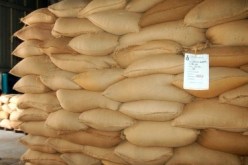 زغايمي مديرسيم أدين قاسم بـ 5 ملايير لم يسدّدها لي