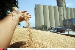 ضرورة التحلي “بصرامة أكبر” في متابعة المخطط الوطني للتنمية الفلاحية و الريفية حسب مختص