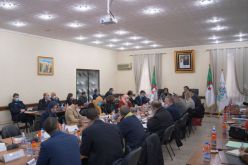 لقاء تنسيقي بين وزارة الثّقافة والمجلس الوطني الاقتصادي والاجتماعي والبيئي