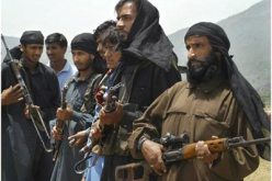 القضاء على 11 مسلحا من طالبان واعتقال 9 آخرين في عمليات أمنية في أفغانستان