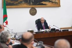 أهم قرارات اجتماع مجلس الوزراء