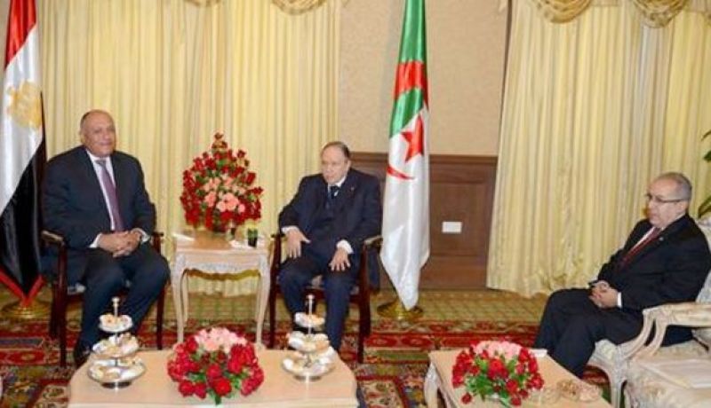 وزير الخارجية المصري في زيارة إلى الجزائر تدوم يومين