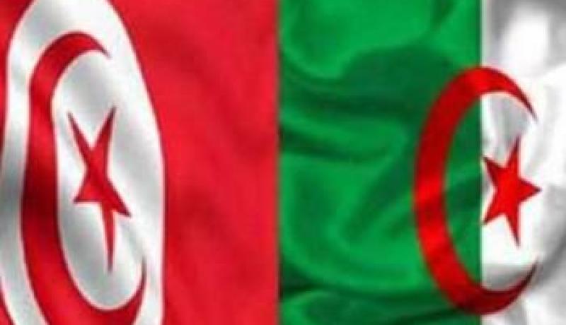 تفعيل التعاون الجزائري-التونسي المشترك في مجال تكنولوجيات الاتصال لمواكبة التطور العالمي
