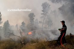 مروحيات الحماية المدنية تخمد حرائق حاصرت منازل مواطنين في مفتاح بالبليدة