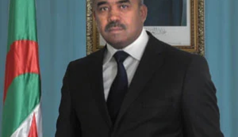 نور الدين بدوي :ضرورة التكفل بظاهرة تسرب المتربصين بقطاع التكوين المهني عبر الوطن