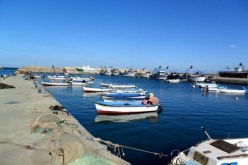 إنشاء الميناء التجاري الجديد  بشرشال