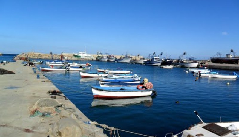 إنشاء الميناء التجاري الجديد  بشرشال