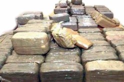 حجز 275 كيلوغرام من الكيف المعالج في بشار