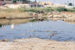 السعودية تسجل حالات إصابة بالملاريا‎