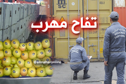 حجز قرابة 7 آلاف كلغ من التفاح المهرّب بميناء مستغانم