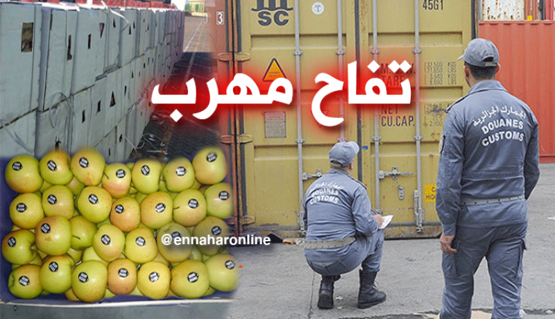 حجز قرابة 7 آلاف كلغ من التفاح المهرّب بميناء مستغانم