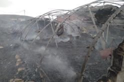 نفوق 3500 صوص في حريق بيت بلاستيكي بقالمة