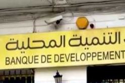 تعيين كريم محمد على رأس بنك التنمية المحلية