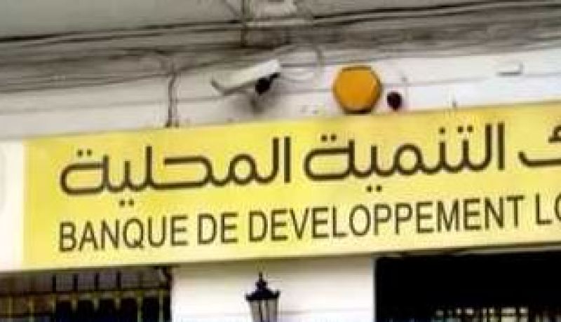 تعيين كريم محمد على رأس بنك التنمية المحلية