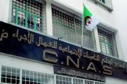 إمكانية التصريح باشتراكات الضمان الاجتماعي للإجراء عبر الأنترنات ابتداء من اليوم