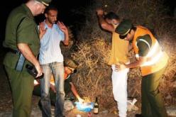 البحر يبتلع العوامة ووهران تبتلع أصحاب الشكارة!