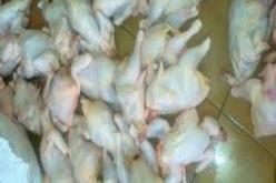 حجز أزيد من 3 قناطير من اللحوم البيضاء الفاسدة في النعامة