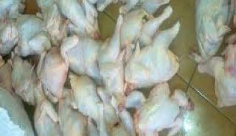 حجز أزيد من 3 قناطير من اللحوم البيضاء الفاسدة في النعامة