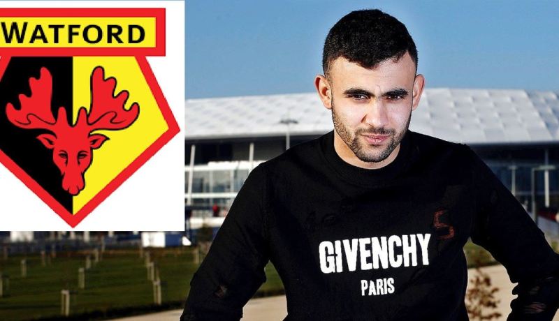 الجيش الأصفر يطارد الغزال