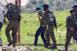 اعتقال 10 فلسطينيين بالضفة الغربية