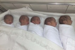 سيدة تضع خمسة توائم في بجاية