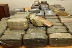 جمارك مغنية تحجز 175 كلغ من الكيف المغربي