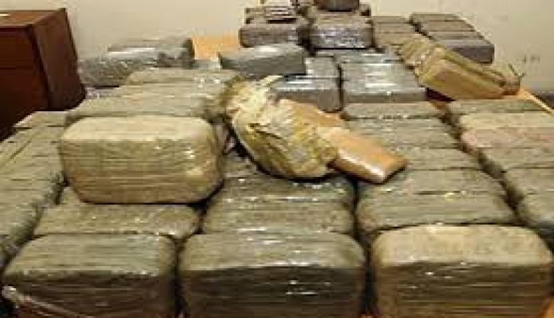 جمارك مغنية تحجز 175 كلغ من الكيف المغربي