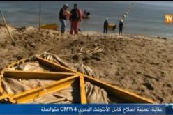 بالفيديو.. عملية اصلاح كابل الانترنت البحري CMW4 متواصلة في عنابة