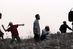 مستوطنون إسرائيليون يعتدون على فلسطينيين جنوب المسجد الأقصى