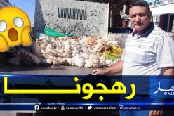 حجز 16 قنطارا من اللحوم البيضاء في معسكر