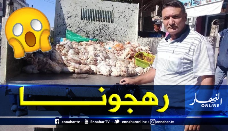 حجز 16 قنطارا من اللحوم البيضاء في معسكر