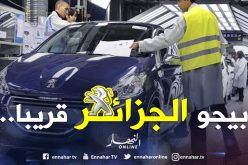 مصنع بيجو الجزائر يدخل مرحلة الدراسة التقنية