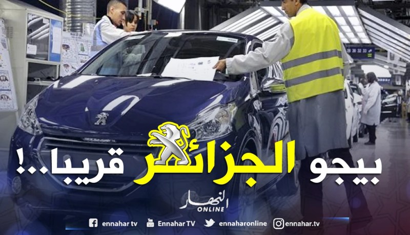 «بيجو ستنطلق في تركيب السيارات بالجزائر الأسابيع المقبلة»
