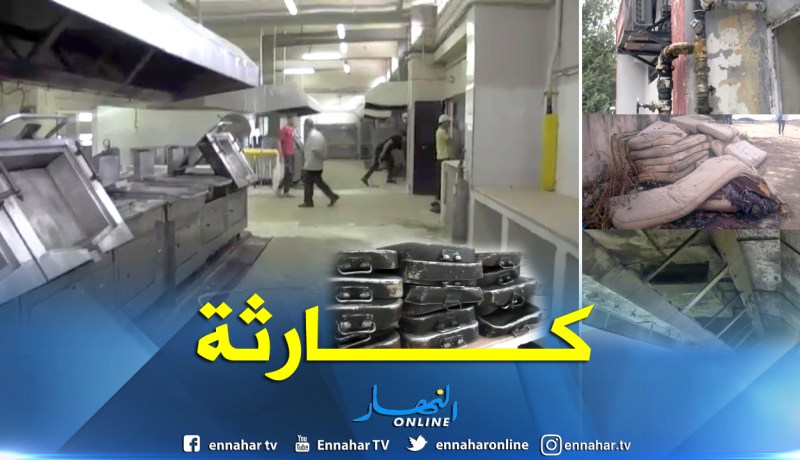 بالفيديو.. فضائح بالإقامات الجامعية بتيزي وزو.. أسِرة تفرشها فئران وكلاب ضالة تهدد حياة الطلبة