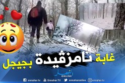 بالفيديو .. سحر الطبيعة حين تمتزج بالحلة البيضاء