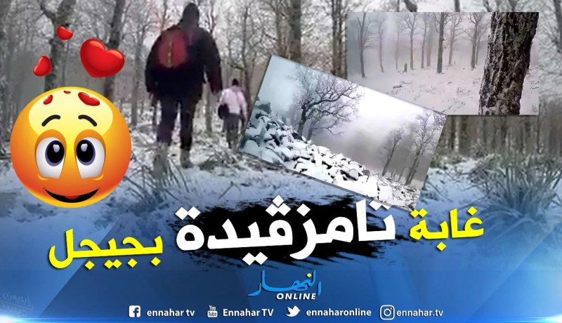 بالفيديو .. سحر الطبيعة حين تمتزج بالحلة البيضاء