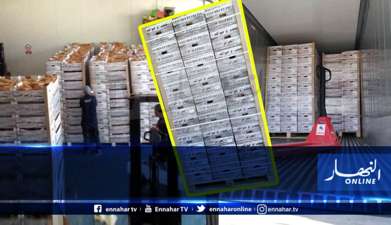 بالصور..  تصدير شحنة من مادة ” البصل “إلى فرنسا غدا انطلاقا من ميناء الجزائر 