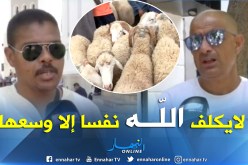 لهذا السبب.. جزائريون يؤيدون فكرة شراء الكباش بالتقسيط