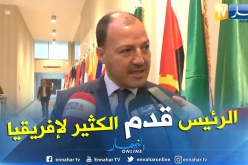 حطاب:”تكريم بوتفليقة ليس بغريب لأنه أعطى الكثير لإفريقيا”