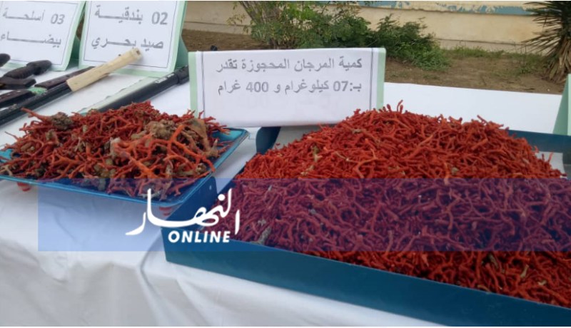 الإطاحة بعصابة مختصة في صيد المرجان بعنابة