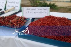 هذه شروط وكيفيات شراء وبيع المرجان