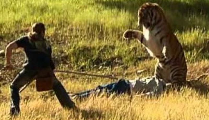 شرطة بنغلاديش تقتل ستة من صائدي النمور بشكل غير قانوني