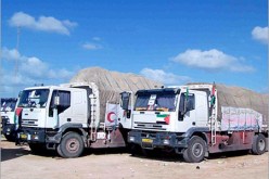 دفعة ثالثة من المساعدات الجزائرية الإنسانية لغزة تصل إلى العريش