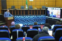 دورة تدريبية لفائدة المكلفين بالإتصال على مستوى مديريات الصحة حول التلقيح ضد كورونا