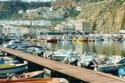 عامل بميناء أرزيو يقتل زميله خطأ في حادث عمل