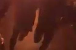 بالفيديو شرارة كهربائية تحدث كارثة وتجعل الجزائر في ظلام تام