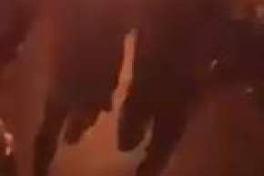 بالفيديو شرارة كهربائية تحدث كارثة وتجعل الجزائر في ظلام تام