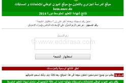 123 مليون زائر لموقع ديوان المسابقات خلال رمضان